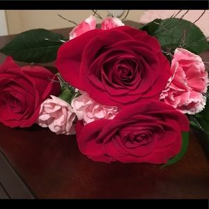 Meet your Posher, Vanesa